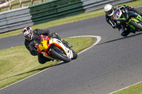 Advanced Group White Bikes